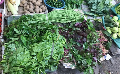 Loại rau bán đầy chợ Việt, rẻ tiền nhưng hàm lượng canxi còn cao hơn cả sữa