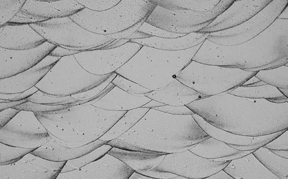 Phát minh phá vỡ truyền thống về "ma trận nhôm" có thể rung chuyển ngành công nghiệp ô tô toàn cầu