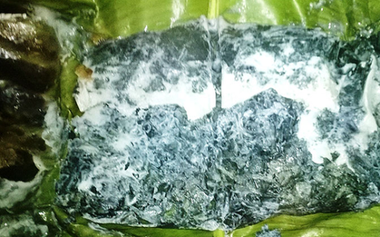 Loại rau ít "ngậm" thuốc trừ sâu nhất chợ, đầu bảng ở quê mọc um tùm bờ rào