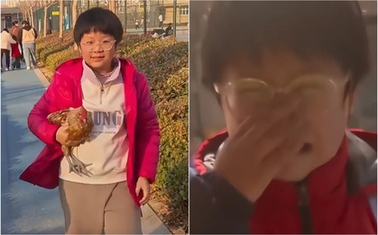 Từ giờ sao cậu bé này dám ăn thịt gà nữa?