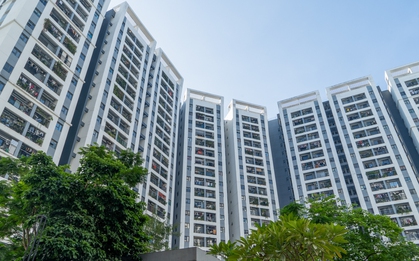 Thay bạn đi xem loạt khu nhà ở xã hội có giá tăng gấp 5 lần, chạm ngưỡng 90 triệu đồng/m2 tại Hà Nội