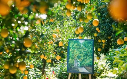 Vườn như trong phim hút khách du lịch Mộc Châu