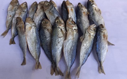 3 loại cá làm tăng nguy cơ mắc ung thư: Toàn món khoái khẩu của nhiều người
