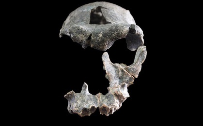 Phát hiện hài cốt bất thường của loài tổ tiên người hiện đại