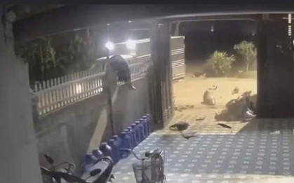 VIDEO: Tông vào xe tải, nam thanh niên đi trên xe máy bị hất văng lên hàng rào nhà ven đường