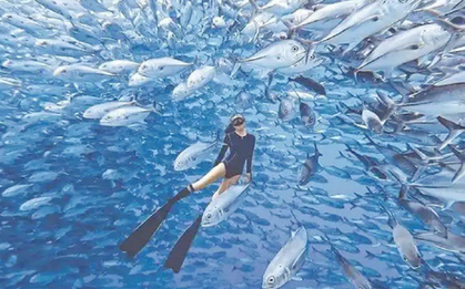 Nghề "hot": Đi làm như đi chơi kiếm hơn nửa tỷ đồng