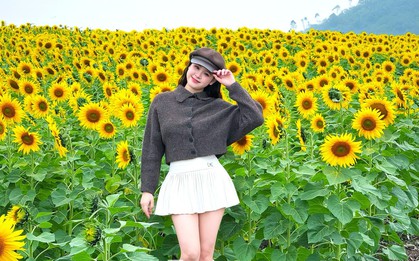 Bạn trẻ check-in ‘biển hoa mặt trời’ lớn nhất Việt Nam