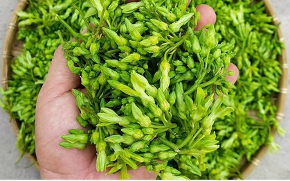 2 món rau của người Việt là 'thuốc chữa đau đầu', ăn vào ngủ ngon đến sáng