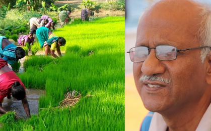 Cựu nhân viên ngân hàng bán nhà lấy 1,1 tỷ đồng mua mảnh đất hơn 12.000m2 làm trang trại để nghỉ hưu: “Chỉ kiếm được hơn 176 triệu/năm nhưng tôi rất vui”