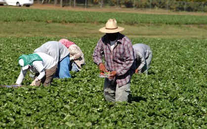 Lão nông 65 tuổi kiếm hơn 1.100 tỷ đồng trong vài năm dù “không làm gì mấy”, cảnh sát vào cuộc điều tra phát hiện điểm bất thường