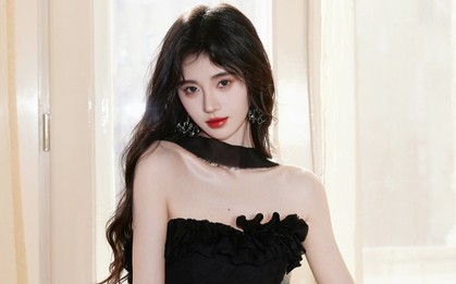 Thảm cảnh của Cúc Tịnh Y