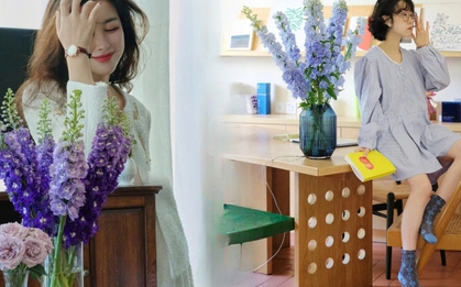 Muốn nhà sang như Tây dịp Tết, thử ngay phi yến xanh: Người mới chơi chớ dại mua loại này kẻo "tiền mất tật mang"