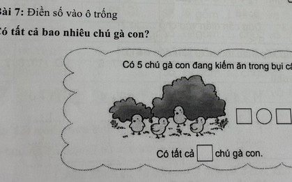Bài toán tiểu học khiến phụ huynh phải lên mạng hỏi vì dữ liệu được "giấu" trong bụi cây