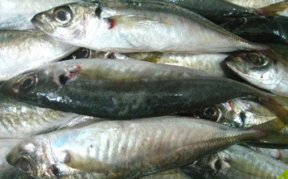 Người bán cá tiết lộ những loại cá họ bán nhiều nhất mỗi sáng