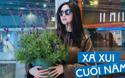 Loài hoa đáng trồng nhất ban công dịp cuối năm: Vừa thơm phòng, ngủ ngon lại âm thầm hút vận may, xả xui cực tốt