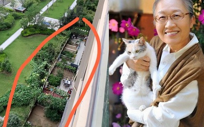 Sau 5 năm sống ở tầng 24, mẹ tôi chuyển xuống tầng một và “sống lại”: Sự thay đổi khiến cả họ hàng bất ngờ