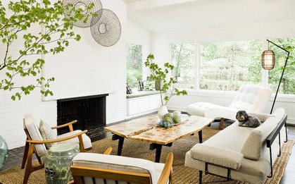 Đầu năm mới khuyên bạn nên trồng 5 loại cây này: Rước lộc vào nhà, hút tiền bạc như nam châm