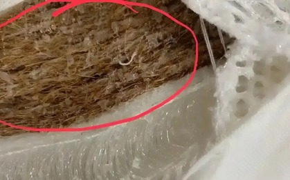 Dù giàu hay nghèo cũng nên sớm nói lời tạm biệt với 5 món đồ độc hại này