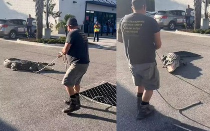 Đang đi đường, người dân phát hiện cảnh tượng "nổi da gà"