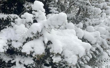 Nơi vừa có tuyết rơi hiếm có sau gần 20 năm!