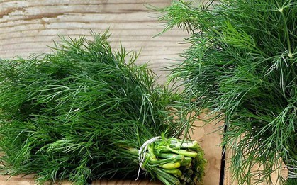 2 loại rau gia vị được ví như "vị thuốc xanh" cho cơ thể