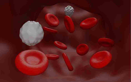 Phòng nguy cơ rối loạn mỡ máu dịp cuối năm