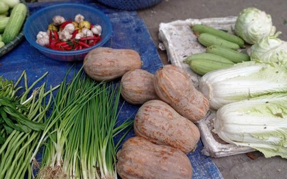 4 loại rau củ ít thuốc trừ sâu bậc nhất