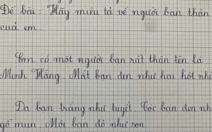 Học sinh tiểu học viết văn tả bạn thân gây sốt khắp cõi mạng: Đẹp cỡ này, đời có mấy ai?