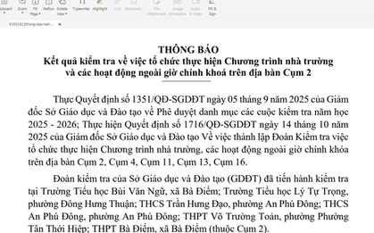 Công bố kết luận kiểm tra nhiều trường phổ thông ở TPHCM