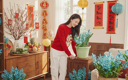 Khách đến chơi Tết tưởng gia chủ cắm hoa giả, lại gần mới ngỡ ngàng trước vẻ đẹp của loài "Lan Ngọc Bích" nở ra đá quý, hút lộc vào nhà, ai nhìn cũng mê