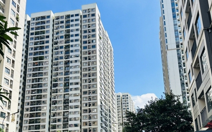 Kinh nghiệm 15 năm sống chung cư: Tôi nhận ra nên chọn màu sơn tông nóng hay lạnh, chọn đúng thì sống sướng, bán dễ