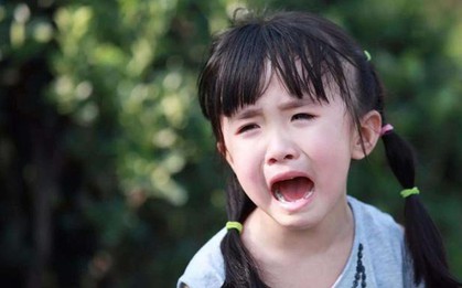 Nghiên cứu kinh điển: Tại sao việc đáp ứng mọi nhu cầu ngay lập tức lại khiến trẻ yếu ớt trước cuộc đời?