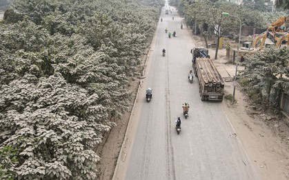 "Bão bụi" bao phủ đường cửa ngõ Hà Nội, cây cối chuyển màu trắng xóa