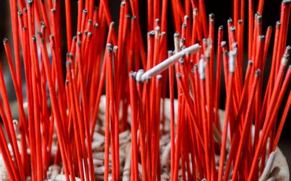 Sai lầm lớn nhất khi tỉa chân hương