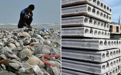 Phát minh có thể làm rung chuyển ngành xây dựng: Dùng thứ bị bỏ đi ở khắp các bờ biển để trộn thêm, giúp bê tông cứng hơn 20%, giảm phát thải CO2 đến 36%