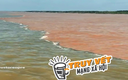 "Giải mã" hiện tượng nước có màu xanh và nâu đỏ ở ven biển Cà Mau