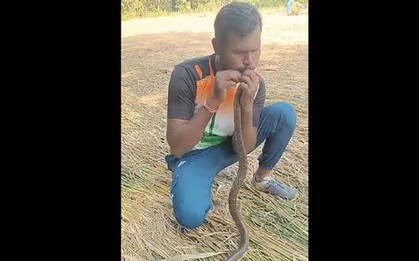 Người đàn ông hô hấp nhân tạo, cứu sống con rắn bị điện giật