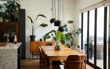 6 vị trí trong nhà tuyệt đối không được đặt cây: Số 3 khiến nhiều người "ngã ngửa"