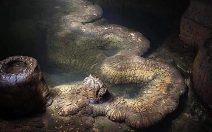 Phát hiện “rồng thật” dài 13 mét trong 1 hang động, chuyên gia: “Nó đã tồn tại ít nhất hàng trăm triệu năm”