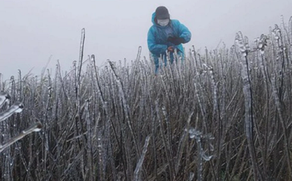 Miền Bắc lại sắp đón không khí lạnh mạnh "lạ thường", dự báo thời điểm rét đậm nhất 2025