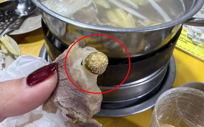 Quán bò nhúng dấm ở Hà Nội bị khách tố có dòi: Sáng quản lý phủ nhận, trưa quán dừng hoạt động