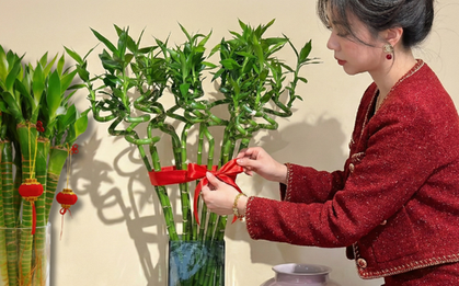 Chưng Tết đừng chỉ mua hoa: Có một loại cây "rẻ bèo" nhưng hút tài lộc cực mạnh, đặt đúng 4 cành lên bàn học con cái thi cử đỗ đạt, gia chủ tiền vào như nước