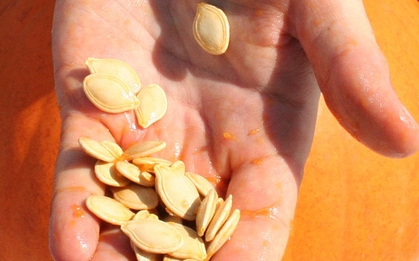 Gần đến Tết, chị em càng nên ăn 1 nắm “trân châu giòn” này mỗi ngày để điều hòa kinh nguyệt, cải thiện nội tiết