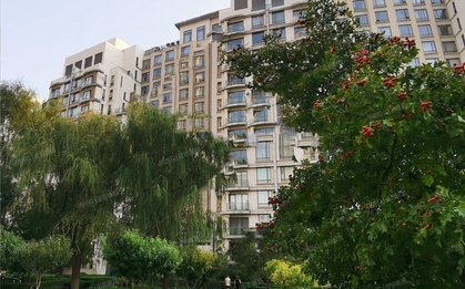 5 dấu hiệu nhận biết nhà có lộc, chúc mừng gia đình nào sở hữu