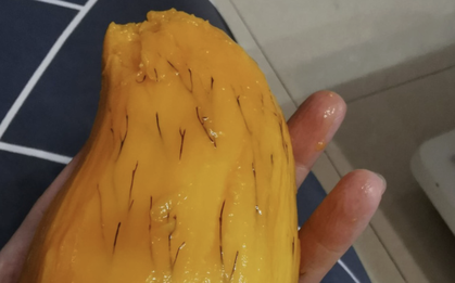 Gọt xoài thấy nhiều đường "chỉ đen" bên trong dù hương vị vẫn ngon ngọt: Có nên ăn không?