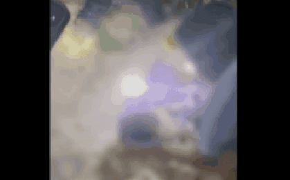 Công an thông tin vụ bé sơ sinh nghi bị "chôn sống"