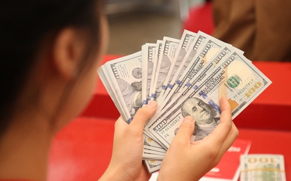 Giá USD ngày 12/2 tăng kịch trần, cao nhất trong lịch sử