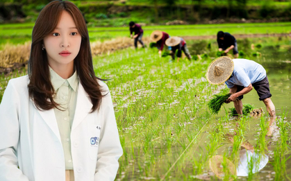 Bí mật điều tra lai lịch nữ bác sĩ mà con trai muốn cưới, người mẹ giàu có đùng đùng bắt huỷ hôn, netizen: Cô gái ơi, ông trời đang bảo vệ cô đó!