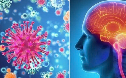 Bệnh viêm màng não mô cầu nguy hiểm như thế nào, dấu hiệu nhận biết ra sao?
