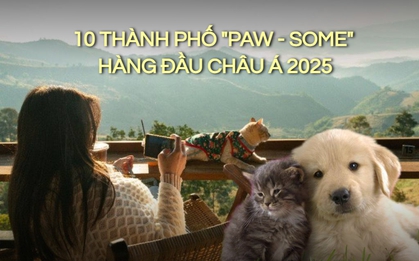 Việt Nam khẳng định vị thế "thiên đường pet-friendly" khi 4 thành phố lọt top 10 điểm đến thân thiện với thú cưng nhất châu Á 2025